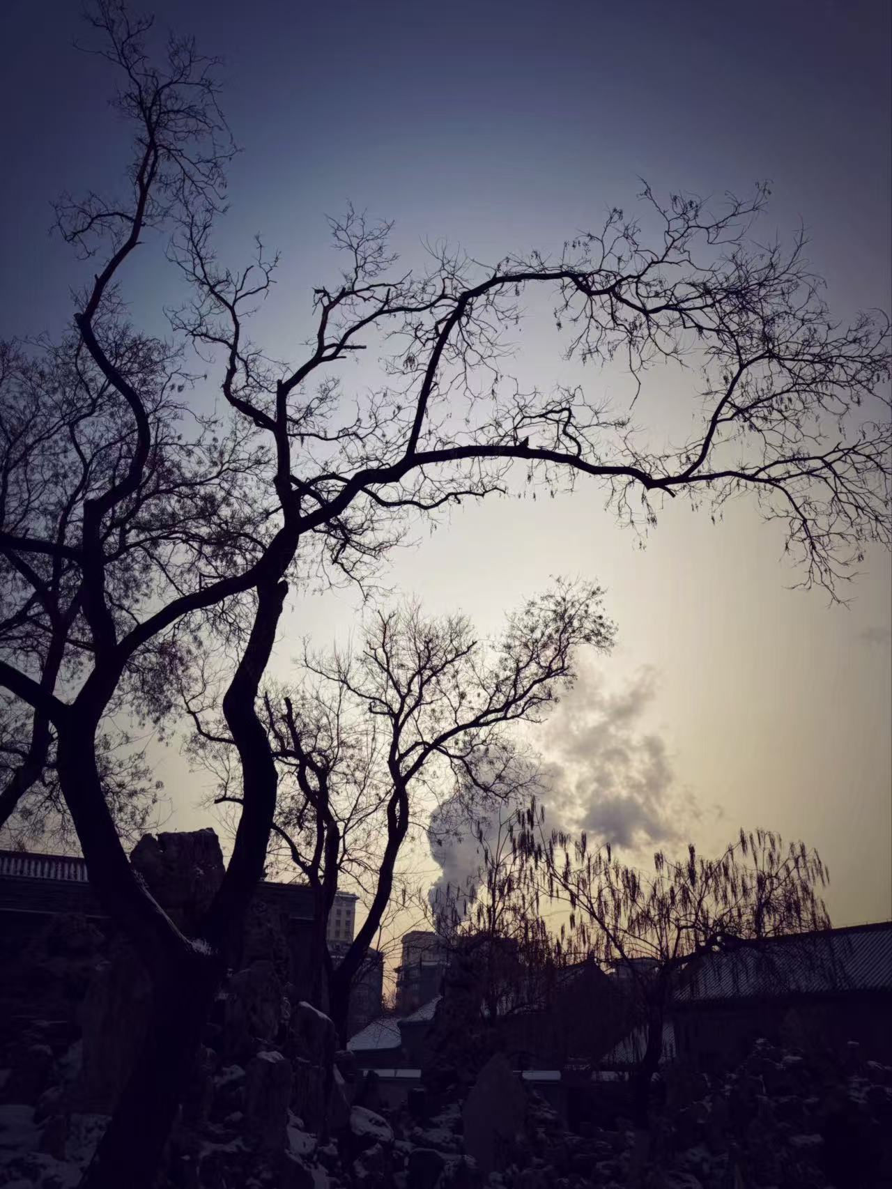 Photo 09